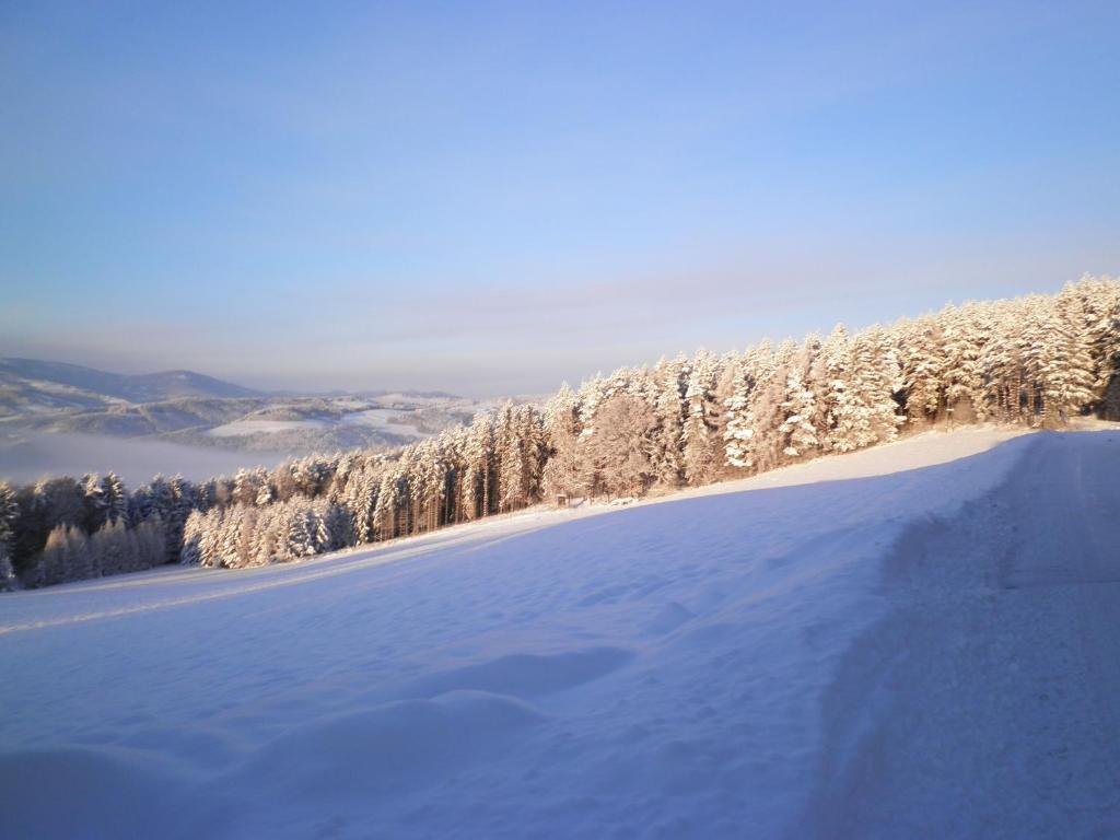 Wachahof *