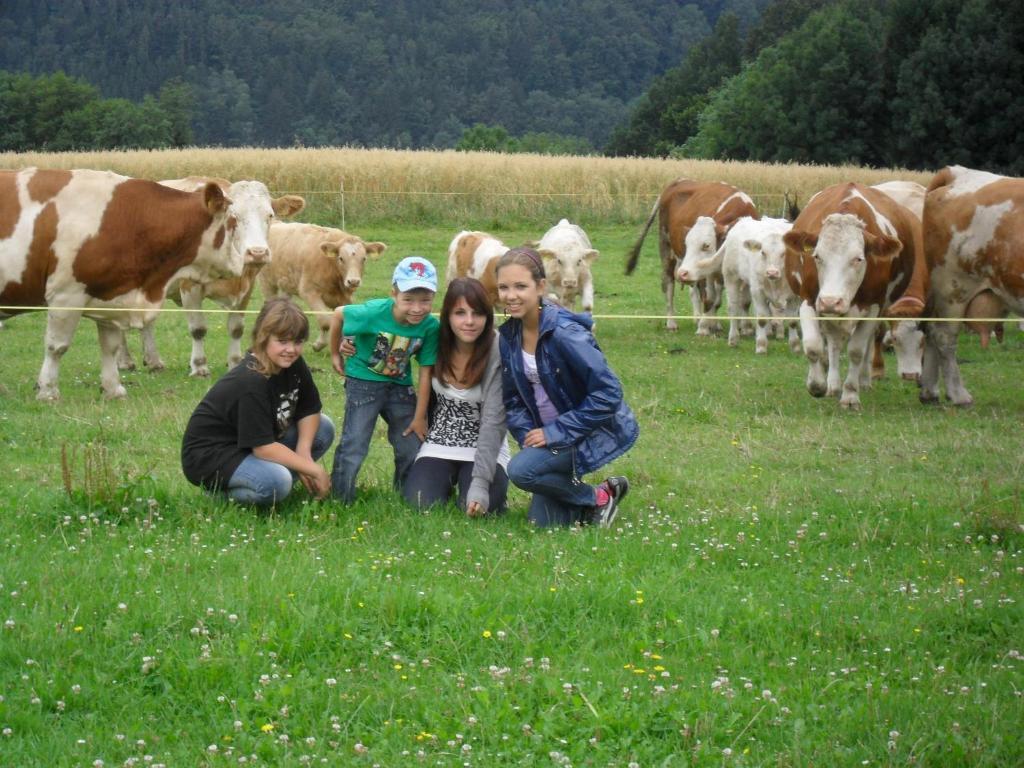 Wachahof *