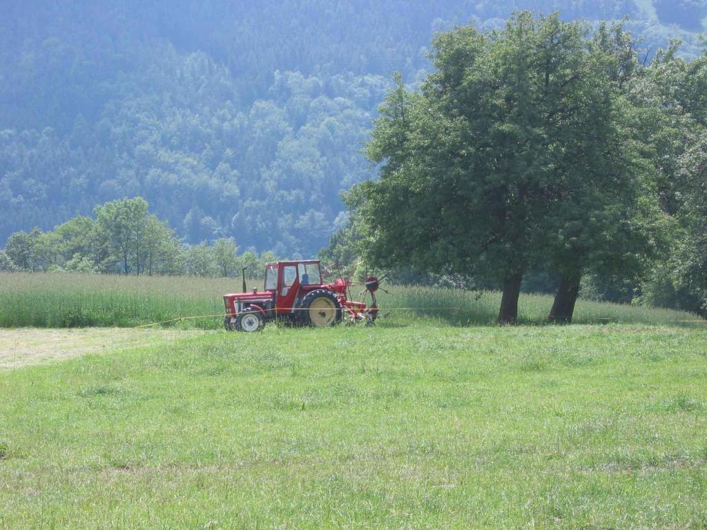 Wachahof * Edlitz