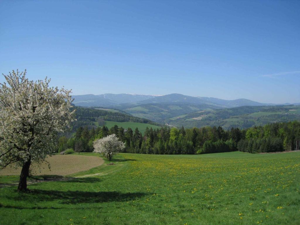 Wachahof Bauernhof *